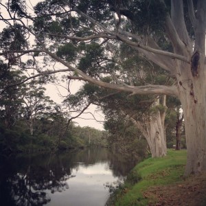 Down by the river in Denmark, WA.